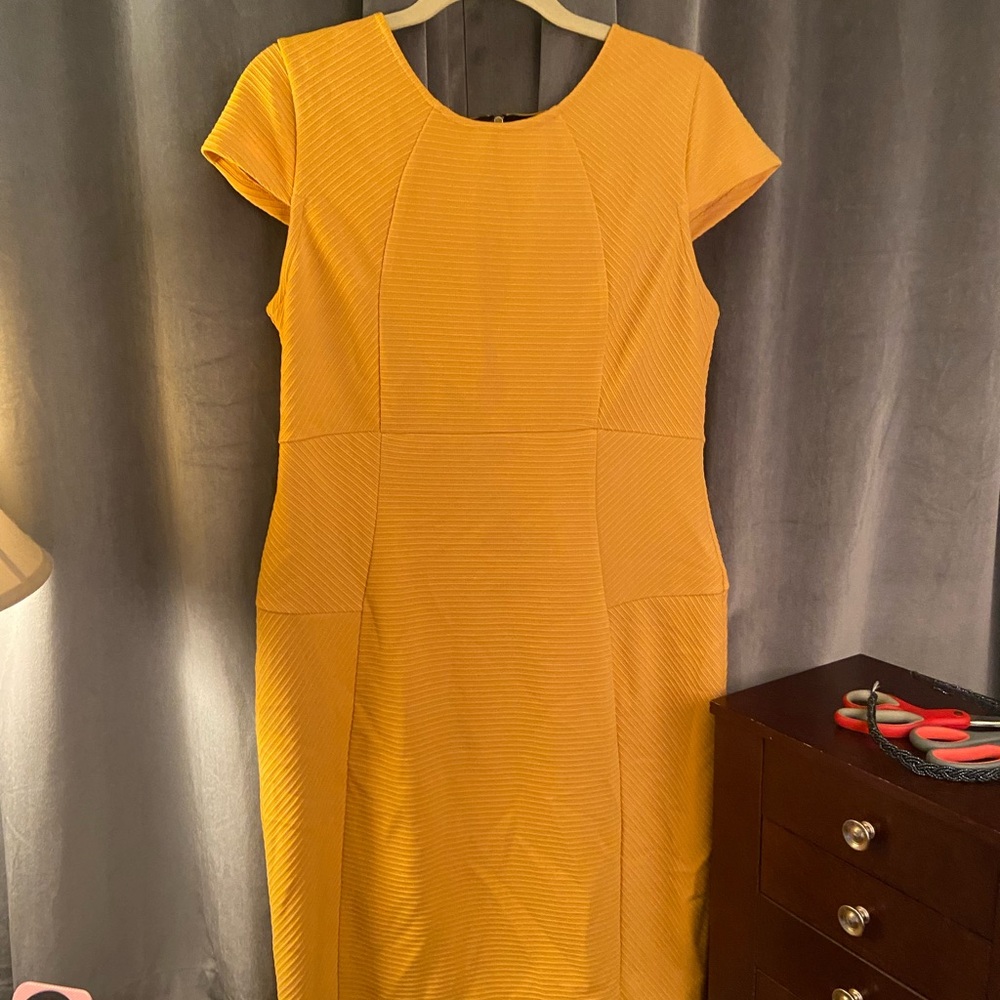 Cato Mustard Midi Dress